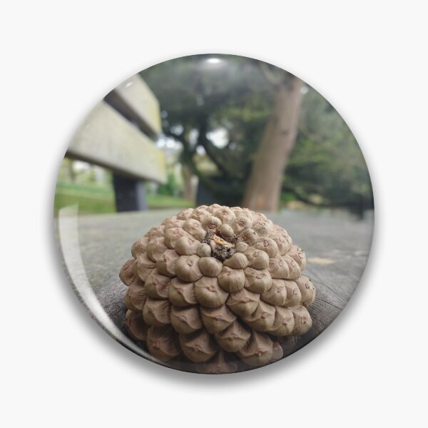Item preview, #311 |☼| Pine Cone - Bench Perspective (Jephson Gardens) designed and sold by Naean H.F. (Nez Man).