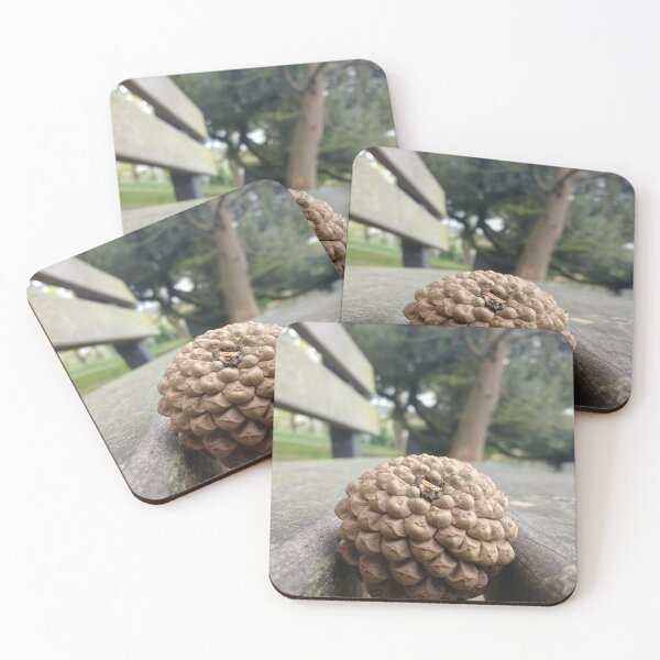 Item preview, #311 |☼| Pine Cone - Bench Perspective (Jephson Gardens) designed and sold by Naean H.F. (Nez Man).
