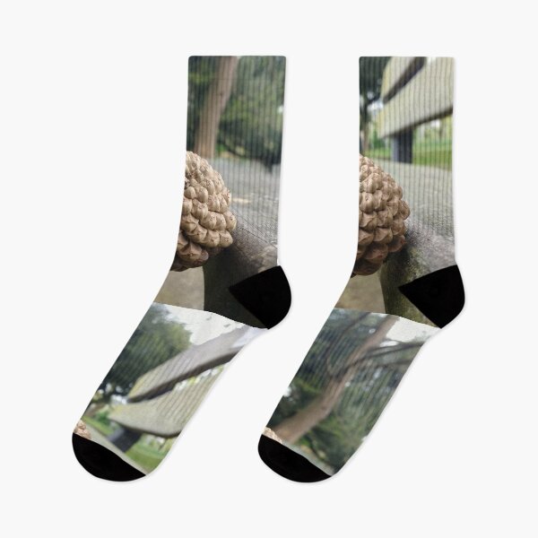 Item preview, #311 |☼| Pine Cone - Bench Perspective (Jephson Gardens) designed and sold by Naean H.F. (Nez Man).