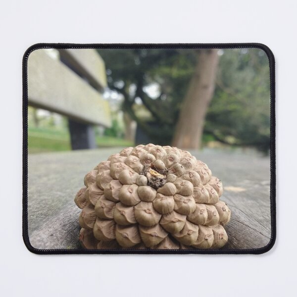 Item preview, #311 |☼| Pine Cone - Bench Perspective (Jephson Gardens) designed and sold by Naean H.F. (Nez Man).