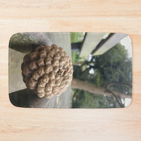 Item preview, #311 |☼| Pine Cone - Bench Perspective (Jephson Gardens) designed and sold by Naean H.F. (Nez Man).