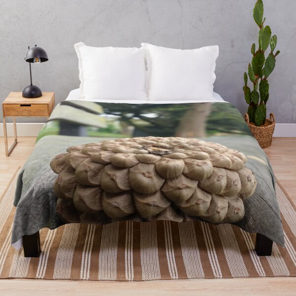 Item preview, #311 |☼| Pine Cone - Bench Perspective (Jephson Gardens) designed and sold by Naean H.F. (Nez Man).