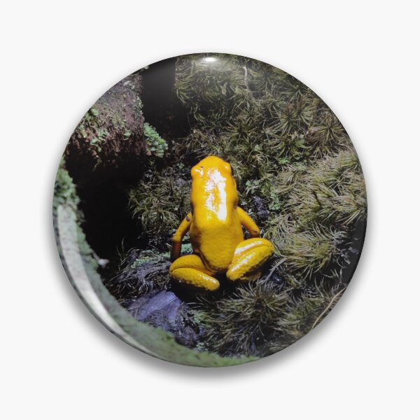 Item preview, Yellow tree frog designed and sold by Lauren Garnett.