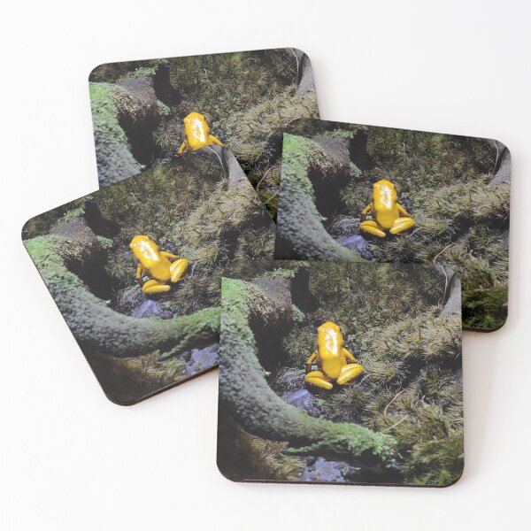 Item preview, Yellow tree frog designed and sold by Lauren Garnett.