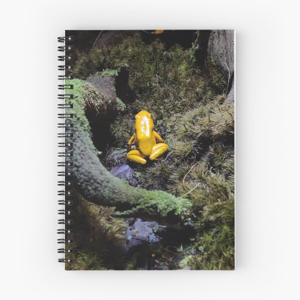 Item preview, Yellow tree frog designed and sold by Lauren Garnett.