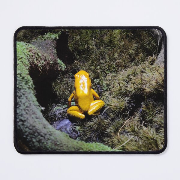 Item preview, Yellow tree frog designed and sold by Lauren Garnett.