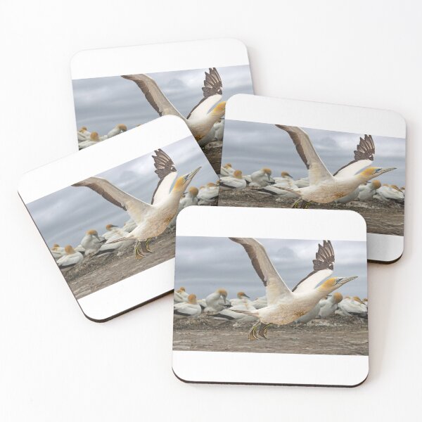 Item preview, Gannet Colony at Cape Kidnappers 2 designed and sold by Alex Preiss.