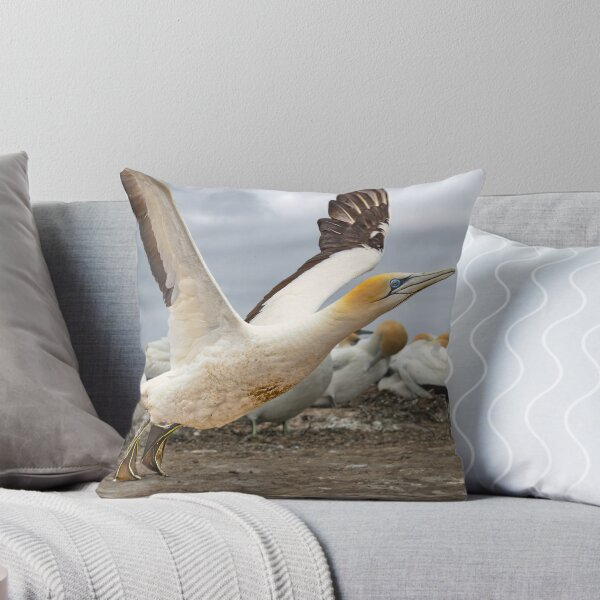 Item preview, Gannet Colony at Cape Kidnappers 2 designed and sold by Alex Preiss.