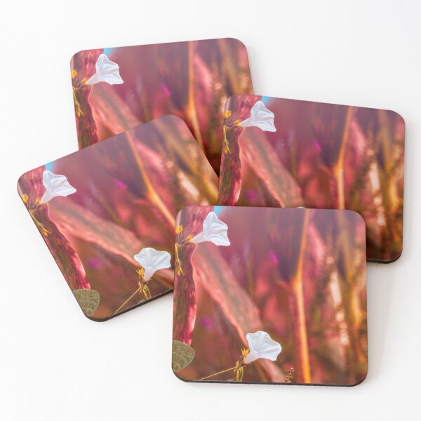 Item preview, Cornfield Morning Glory designed and sold by Jim Love.