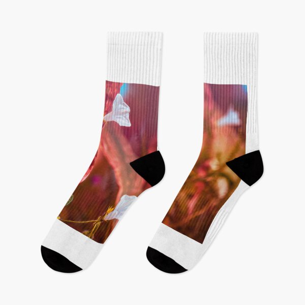 Item preview, Cornfield Morning Glory designed and sold by Jim Love.