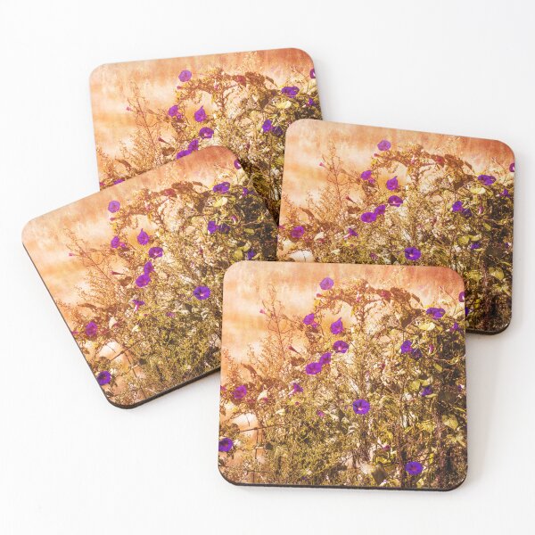 Item preview, Morning Glory Glory designed and sold by Jim Love.