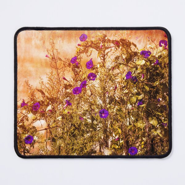 Item preview, Morning Glory Glory designed and sold by Jim Love.