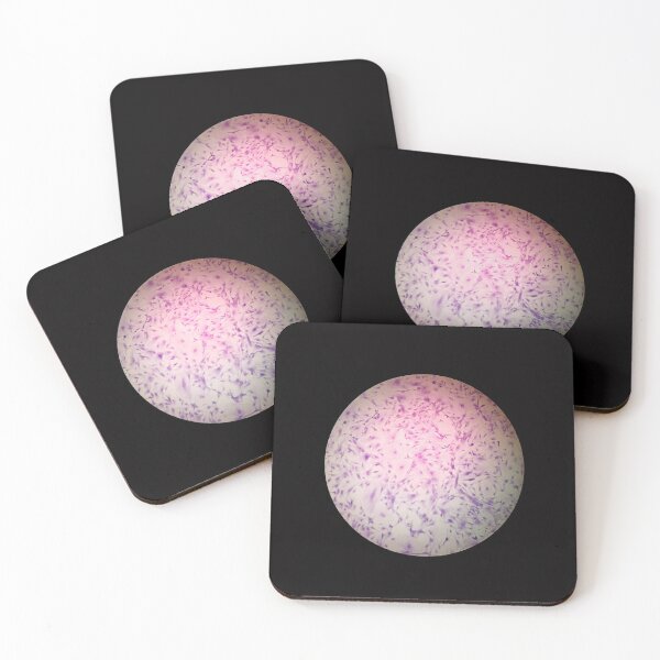 Item preview, Mouse Fibroblasts designed and sold by Vikyheliova.