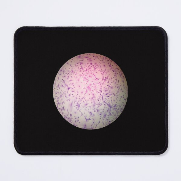 Item preview, Mouse Fibroblasts designed and sold by Vikyheliova.