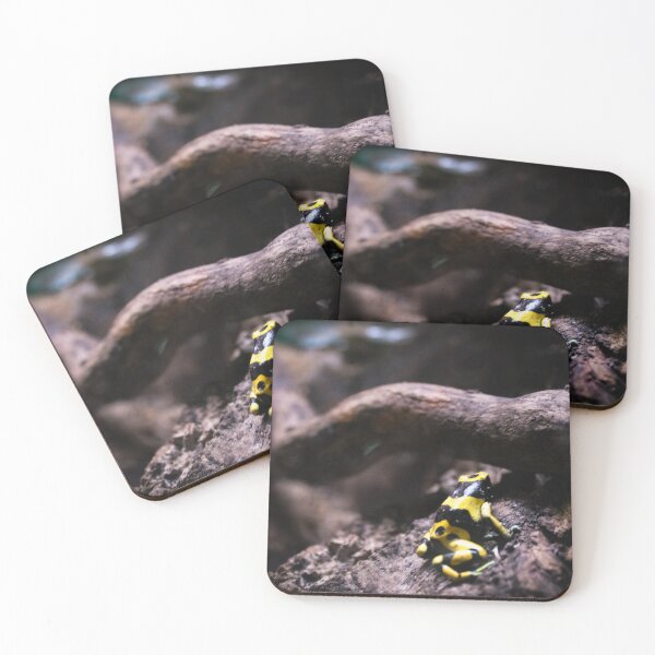 Item preview, Black and yellow frog designed and sold by Belles-Photos.