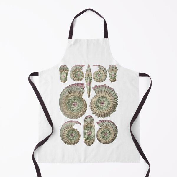 Item preview, Ernst Haeckel Ammonitida Ammonite Earth Tones designed and sold by aimeewilson.