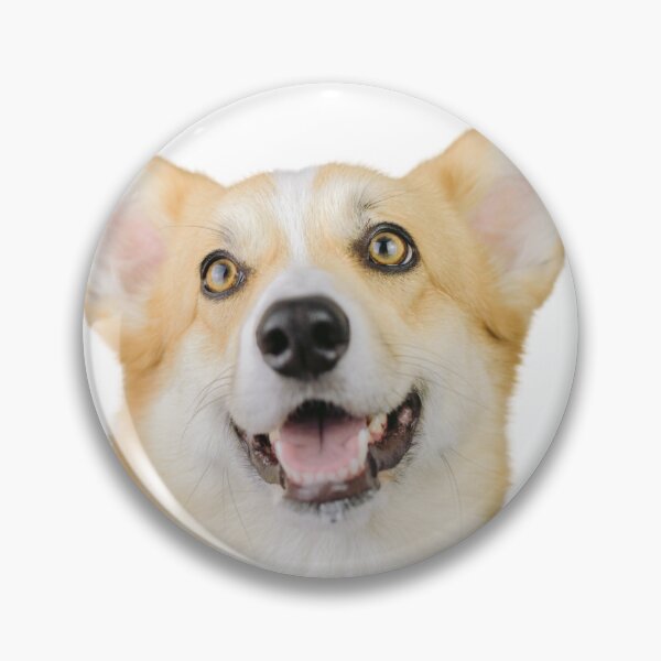 Item preview, Cute Posing Pembroke Welsh Corgi designed and sold by TheAnimalZ00.