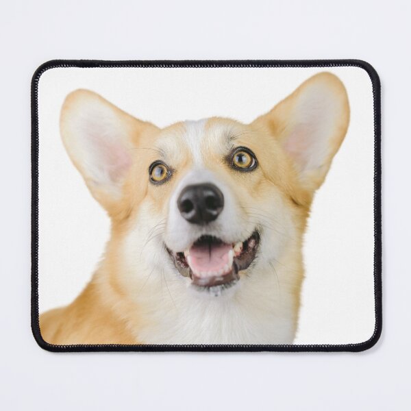 Item preview, Cute Posing Pembroke Welsh Corgi designed and sold by TheAnimalZ00.