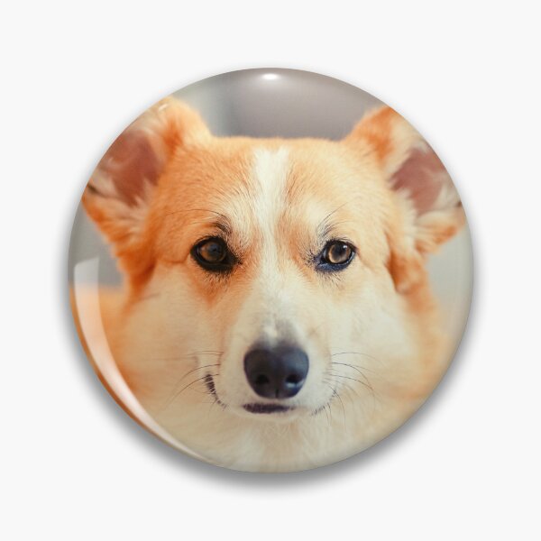 Item preview, Pembroke Welsh Corgi  designed and sold by TheAnimalZ00.
