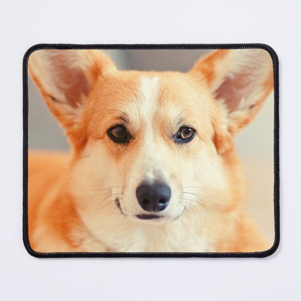 Item preview, Pembroke Welsh Corgi designed and sold by TheAnimalZ00.