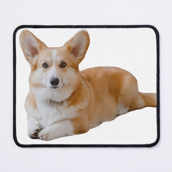 Item preview, Pembroke Welsh Corgi designed and sold by TheAnimalZ00.