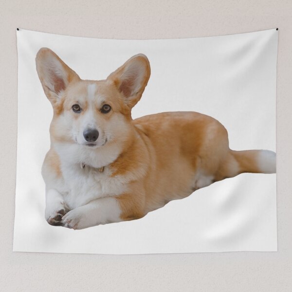 Artikelvorschau, Welsh Corgi Pembroke entworfen und verkauft von TheAnimalZ00.