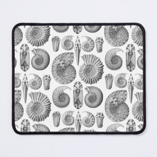 Item preview, Ernst Haeckel Ammonite Black and White designed and sold by aimeewilson.