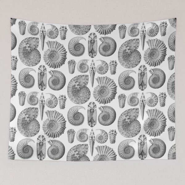 Item preview, Ernst Haeckel Ammonite Black and White designed and sold by aimeewilson.