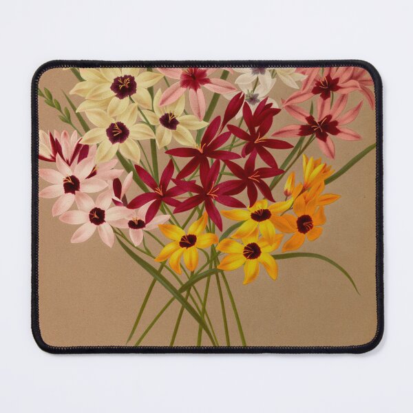 Item preview, African Corn Lily designed and sold by Noura Sultani.