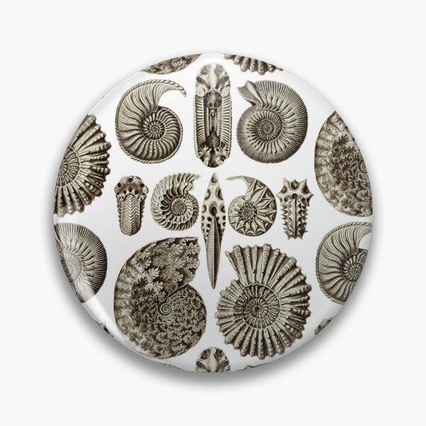 Artikelvorschau, Ernst Haeckel Ammonit Kaffeebraun entworfen und verkauft von aimeewilson.