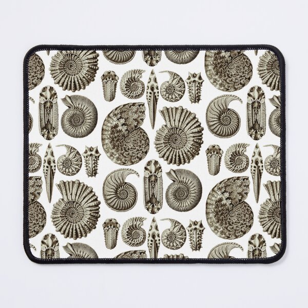 Item preview, Ernst Haeckel Ammonite Coffee Brown designed and sold by aimeewilson.