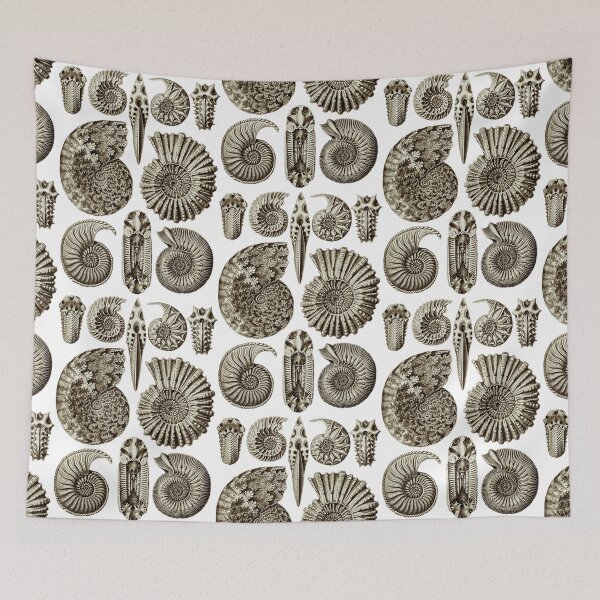 Item preview, Ernst Haeckel Ammonite Coffee Brown designed and sold by aimeewilson.