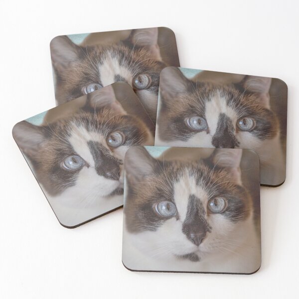 Item preview, The Cutest Snowshoe Cat designed and sold by Elisabeth Lucas.