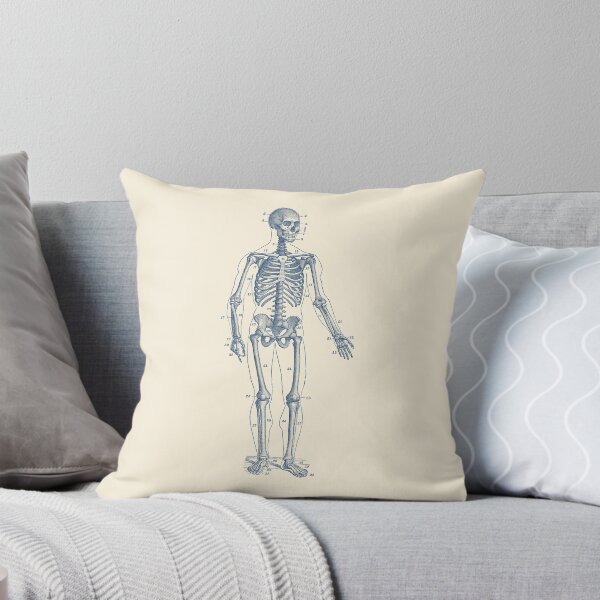 Item preview, Forward Facing Skeletal Diagram designed and sold by VAposters.