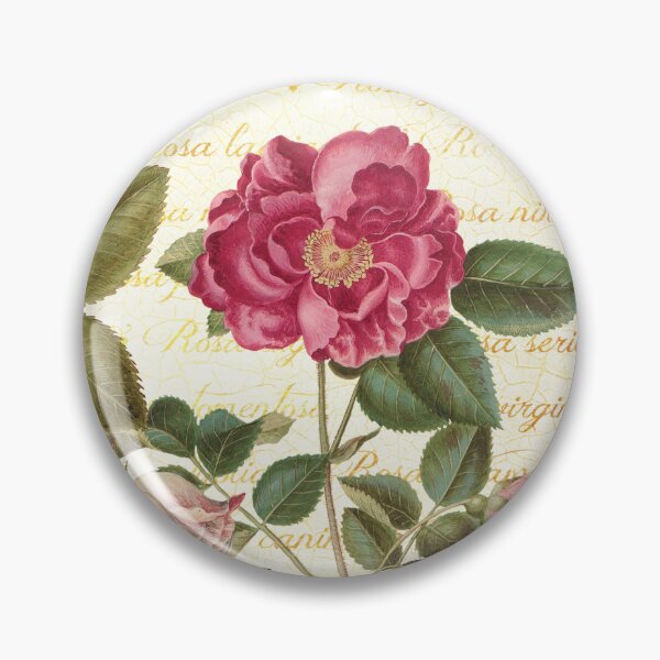Aperçu de l'œuvre Roses et écriture botanique créée et vendue par GrayHareCards.
