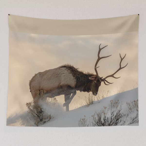 Item preview, The majestic bull elk forages for food under the snow designed and sold by InHerits.