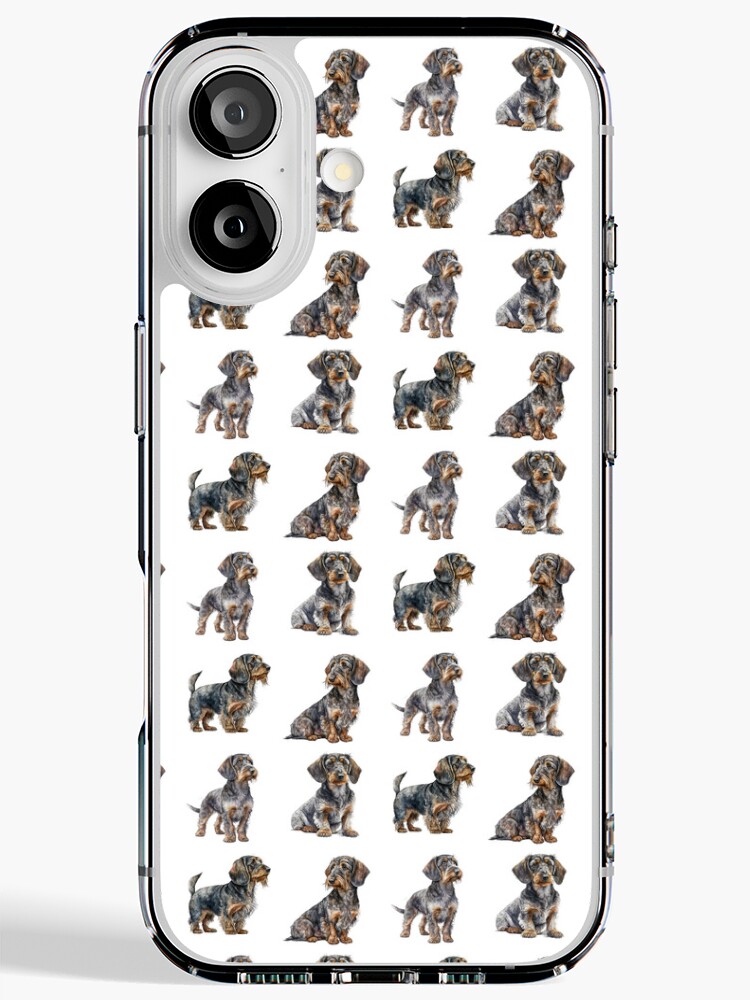 Wirehaired Dachshund Dogs