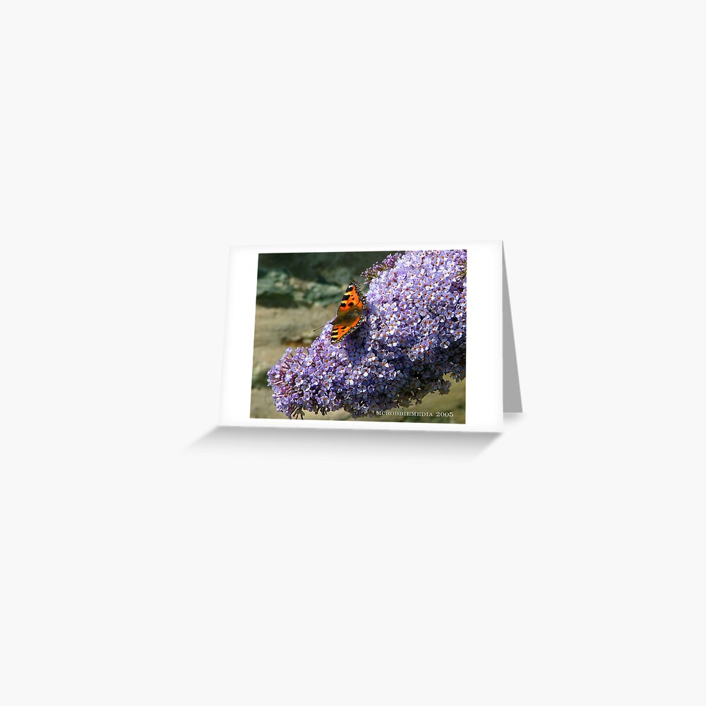 Butterfly 1# Greeting Card