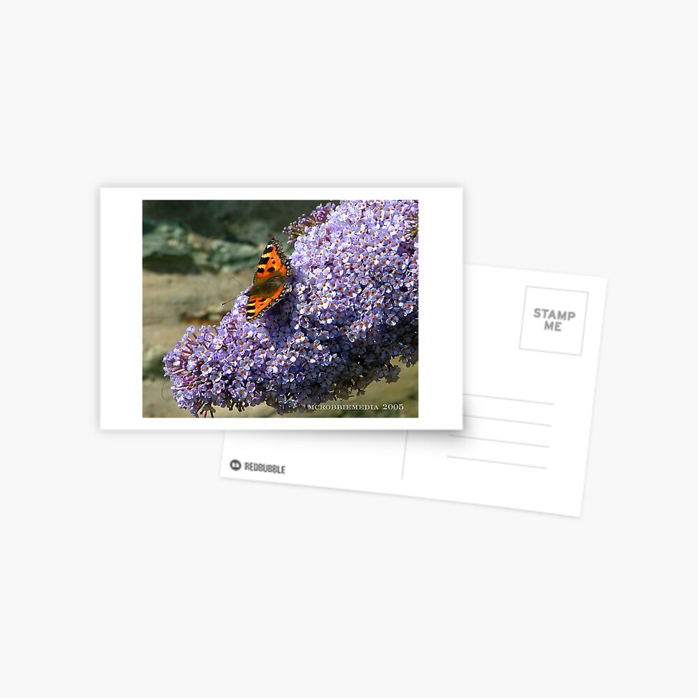 Butterfly 1# Postcard