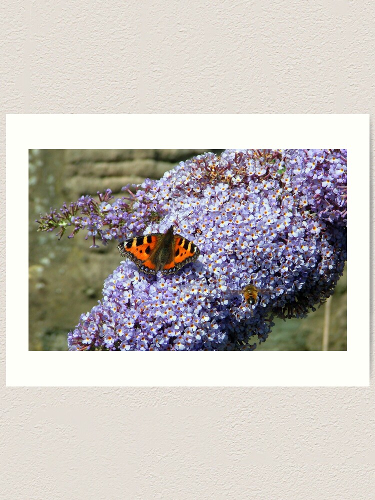 Alternate view of Butterfly2# Art Print