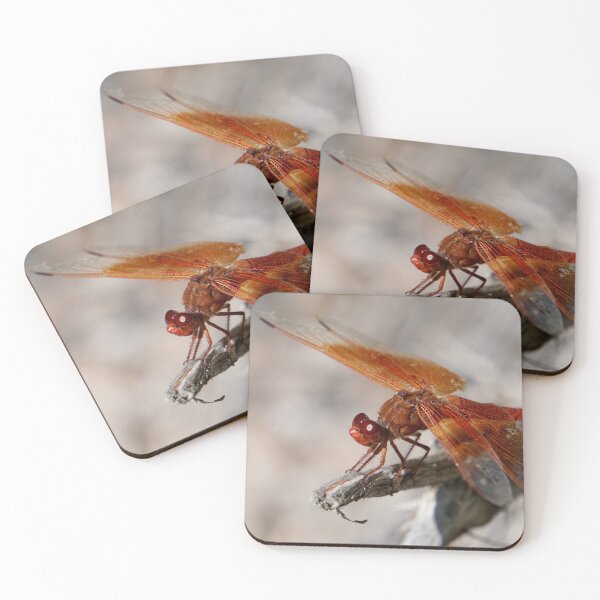 Item preview, Flame Skimmer designed and sold by Raulworks.