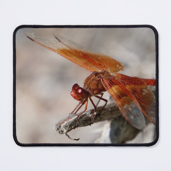 Item preview, Flame Skimmer designed and sold by Raulworks.