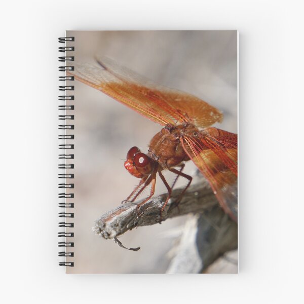 Item preview, Flame Skimmer designed and sold by Raulworks.