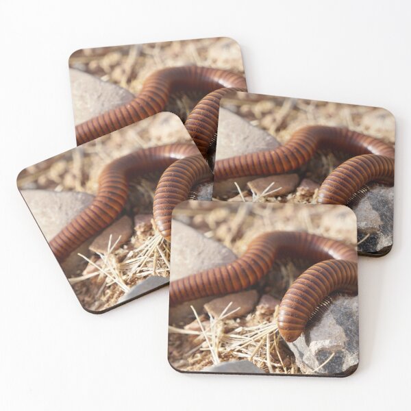 Item preview, Desert Millipede designed and sold by Raulworks.