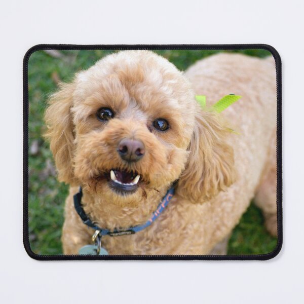 Item preview, Pippa designed and sold by Tiffany Dryburgh.