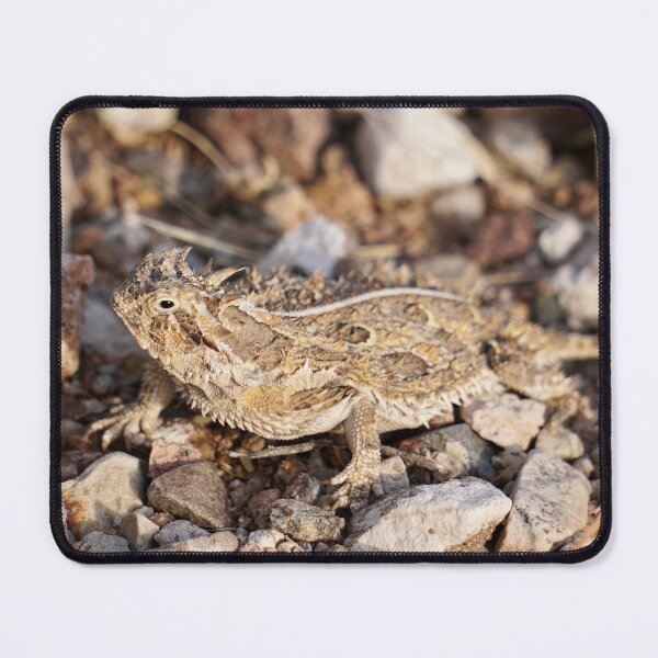 Item preview, Texas Horned Lizard designed and sold by Raulworks.
