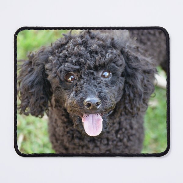 Item preview, Marley designed and sold by Tiffany Dryburgh.