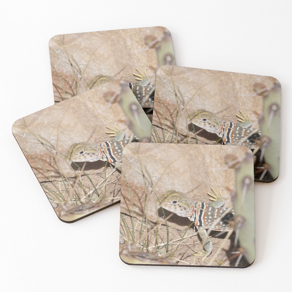 Item preview, Coasters (Set of 4) designed and sold by Raulboy.