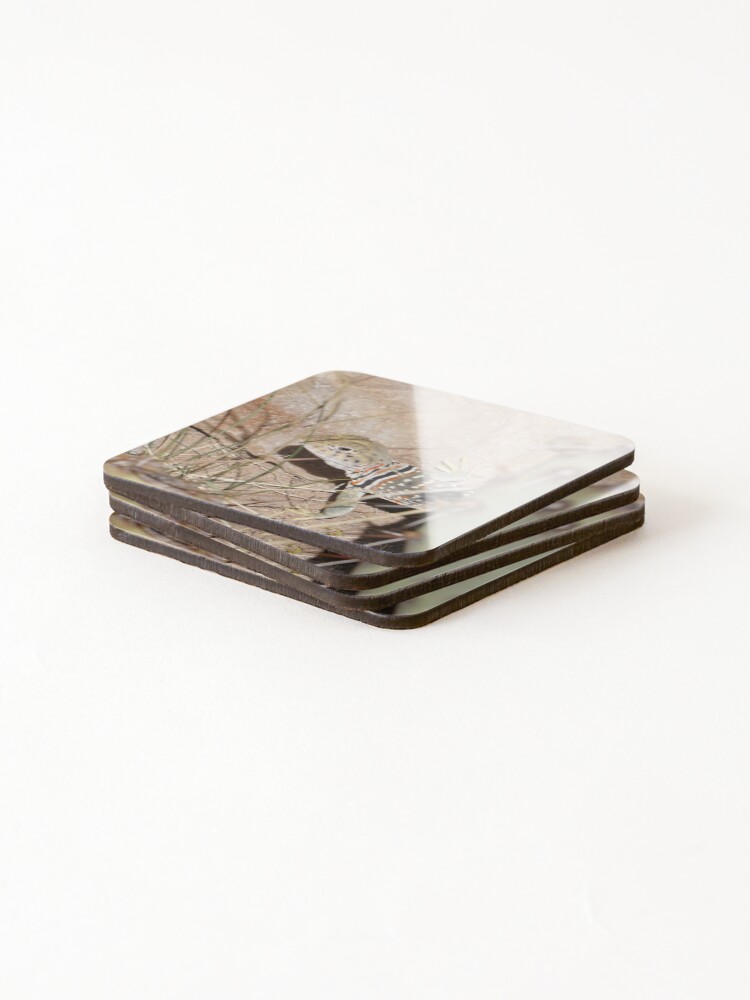 Thumbnail 4 of 5, Coasters (Set of 4), Common Collared Lizard designed and sold by Raulboy.