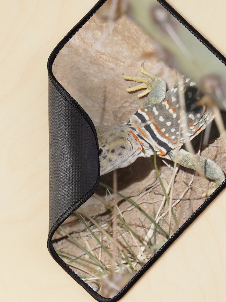 Thumbnail 2 of 5, Mouse Pad, Common Collared Lizard designed and sold by Raulworks.